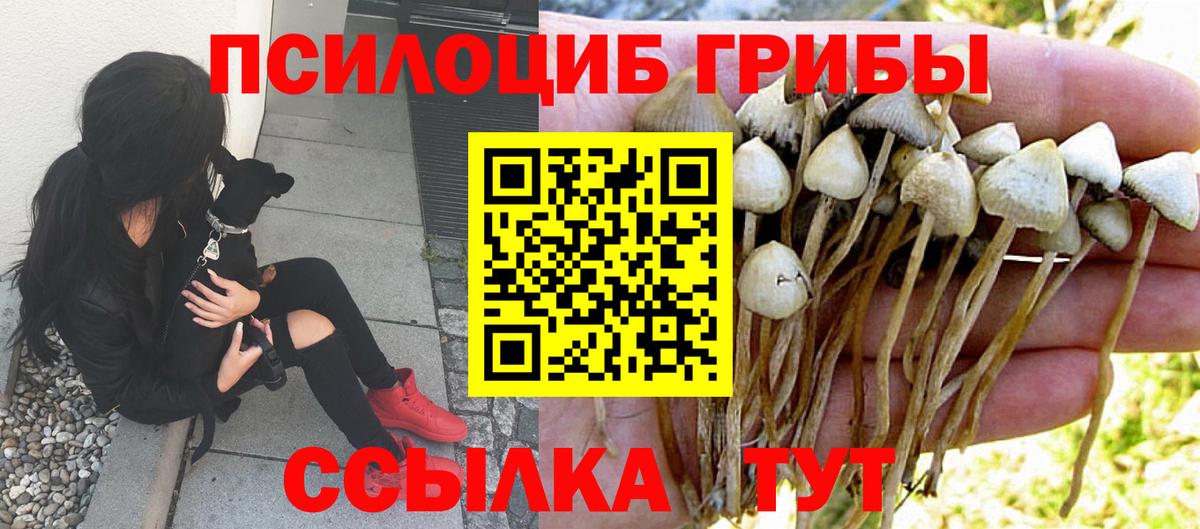 Псилоцибиновые грибы мицелий  Галлюциногенные грибы Cubensis  Киселёвск  Вход с VPN 